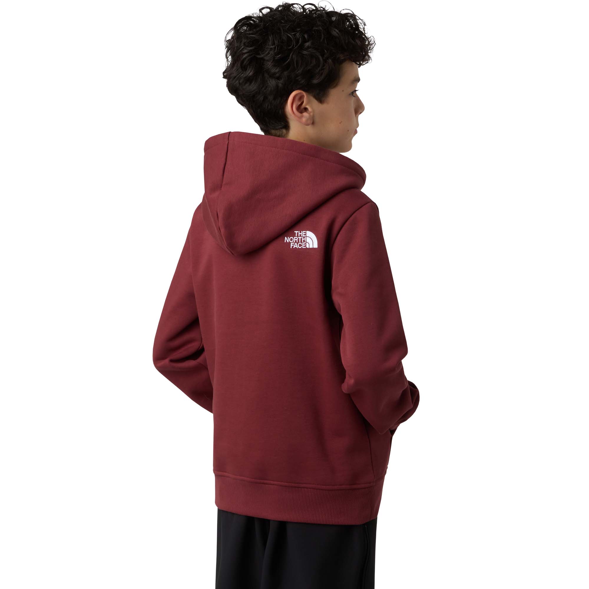 The North Face Drew Peak Pullover Kids' Hoody