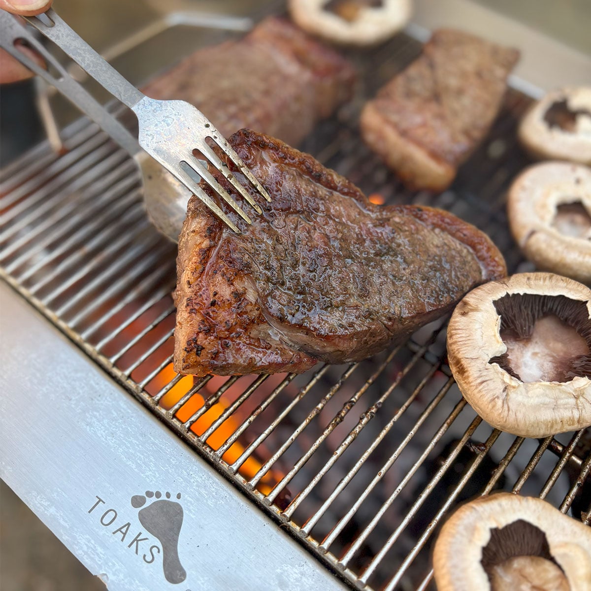 Toaks Fireplace Grill Attachment