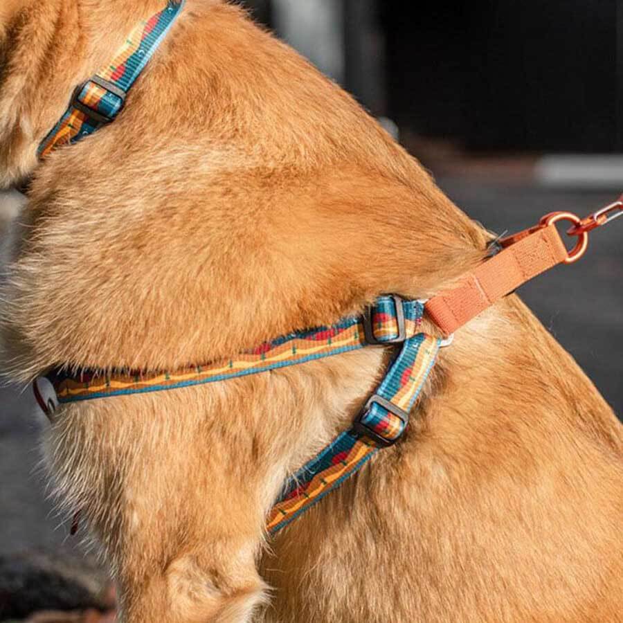 United By Blue Woven Dog Harness Adjustable Pet Harness