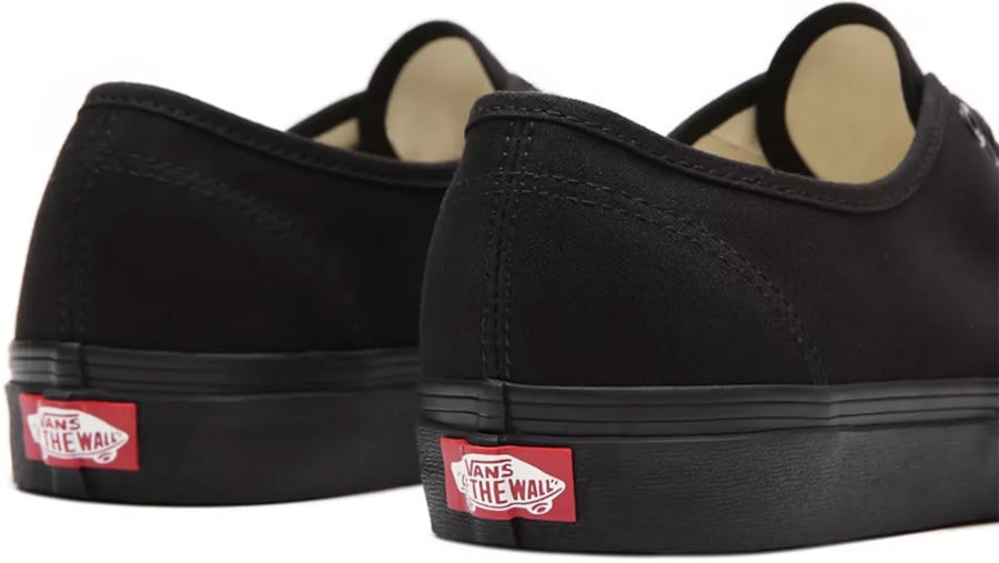 Vans Authentic Skate Shoe