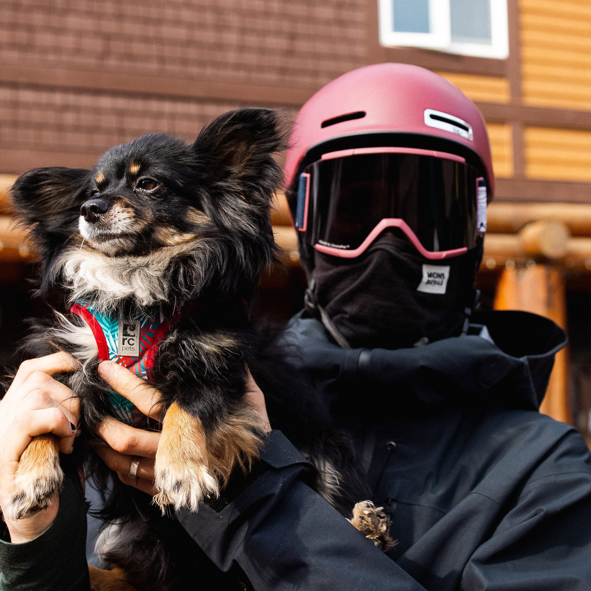 Smith Maze Helmets | Absolute-Snow