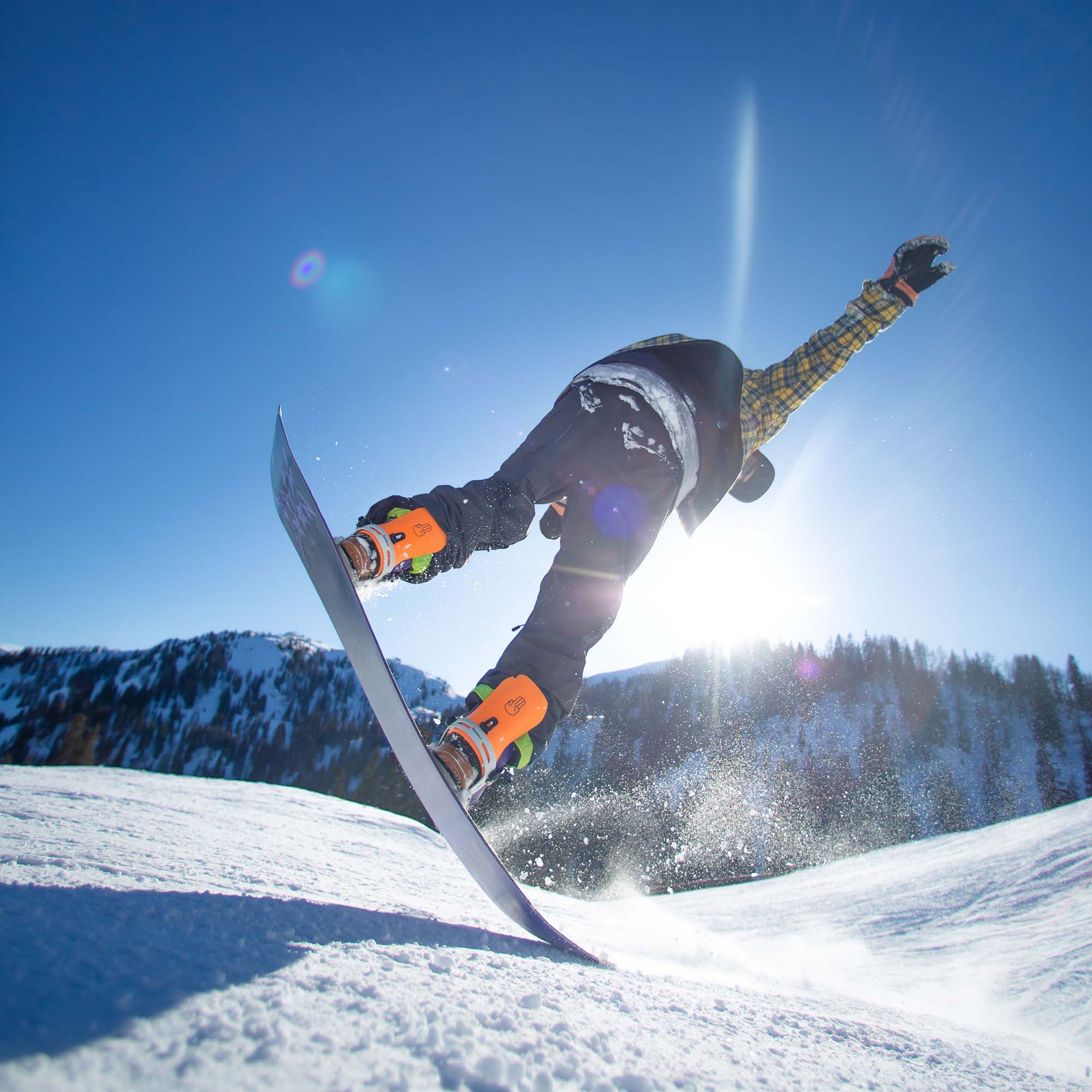 Bataleon Disaster Park/Freestyle Snowboard