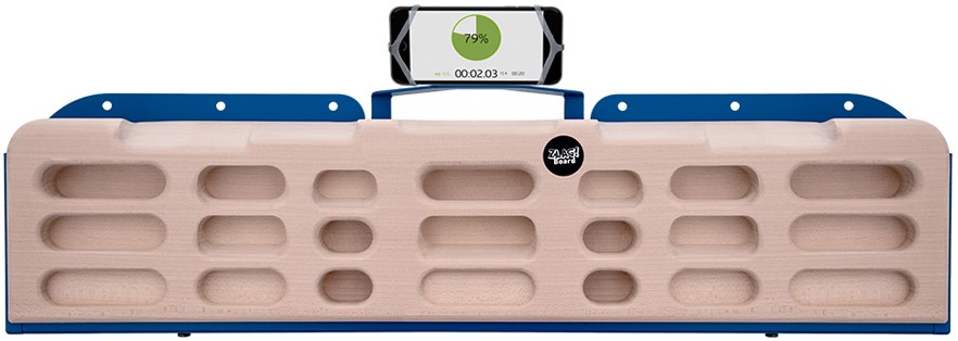 Zlagboard Pro Climbing Training | Absolute-Snow