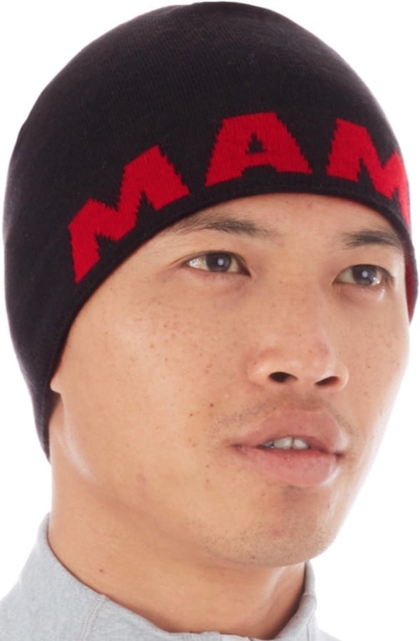 MAMMUT◆ウェアー/S/BLU/1020-12690 MAMMUT winter sportswear 1020-12690 wear S Blue Used | eBay