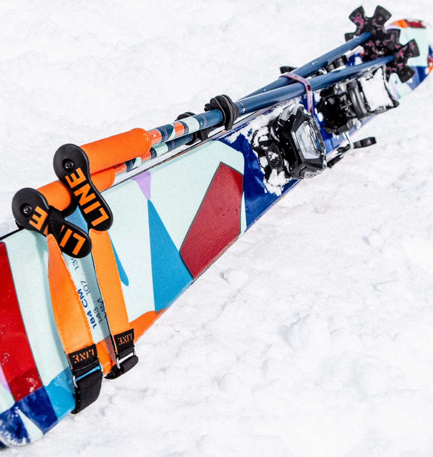 LINE Paint Brush Ski Poles