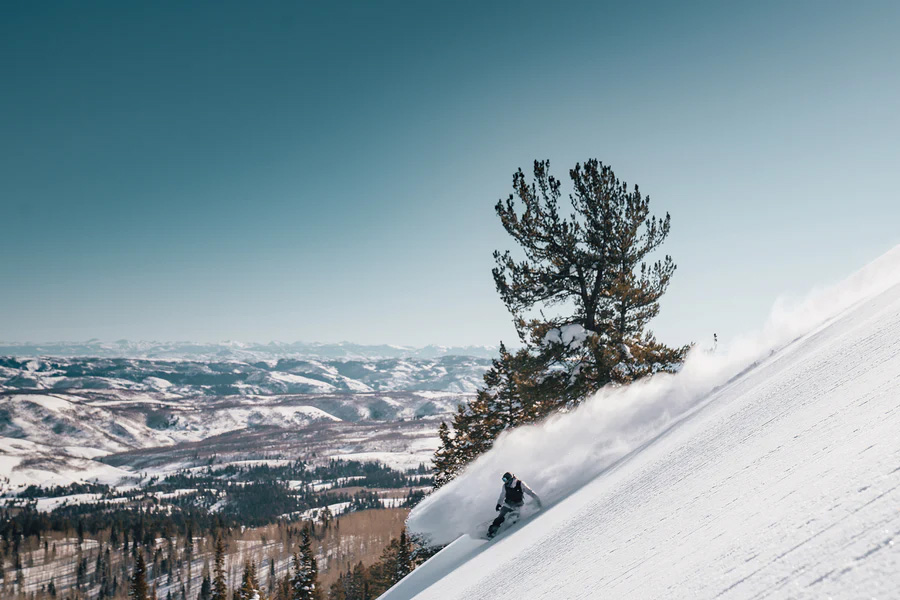 Arbor Bryan Iguchi Pro All Mountain/Freestyle Snowboard
