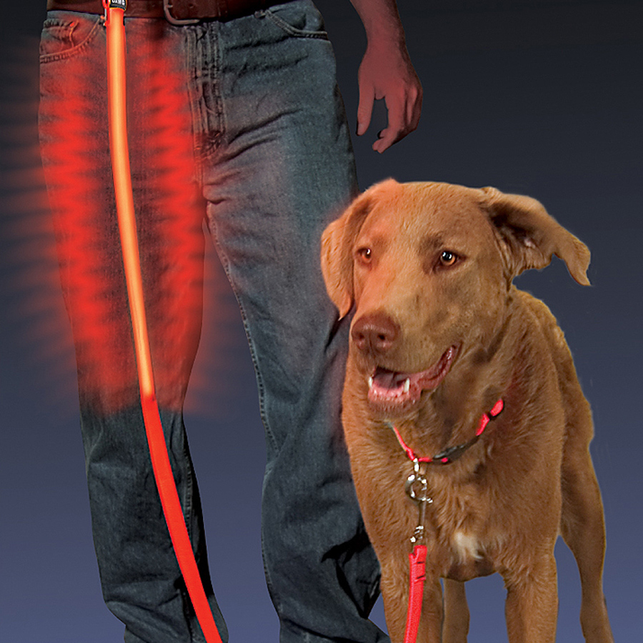 Nite Ize Nite Dawg LED Pet Leash Light Up Dog Lead