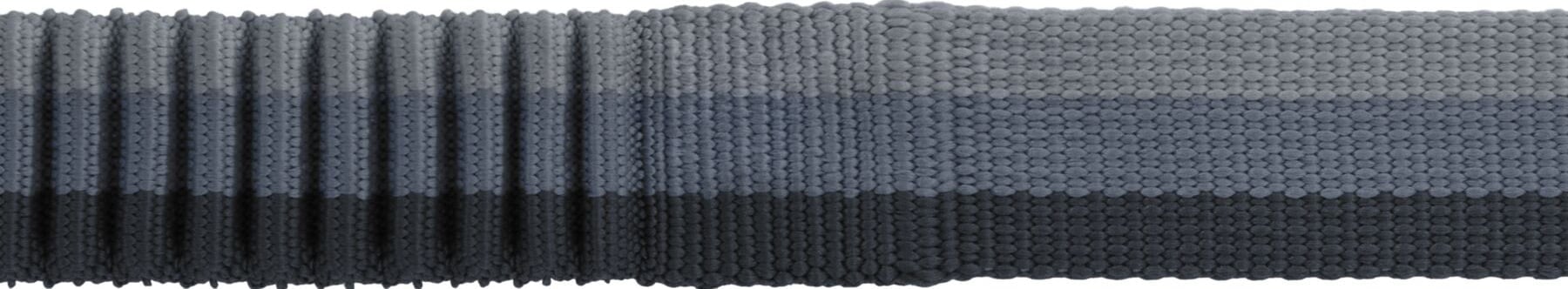 Ruffwear Roamer Leash Stretch Dog Walking Lead