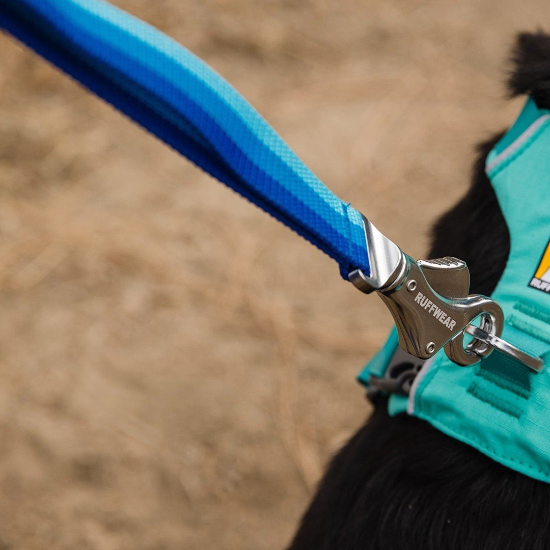 Ruffwear Roamer Leash Stretch Dog Walking Lead