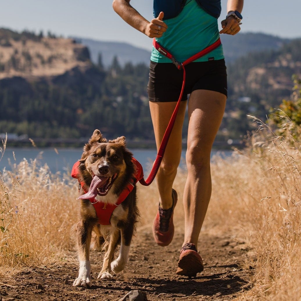 Ruffwear Roamer Leash Stretch Dog Walking Lead