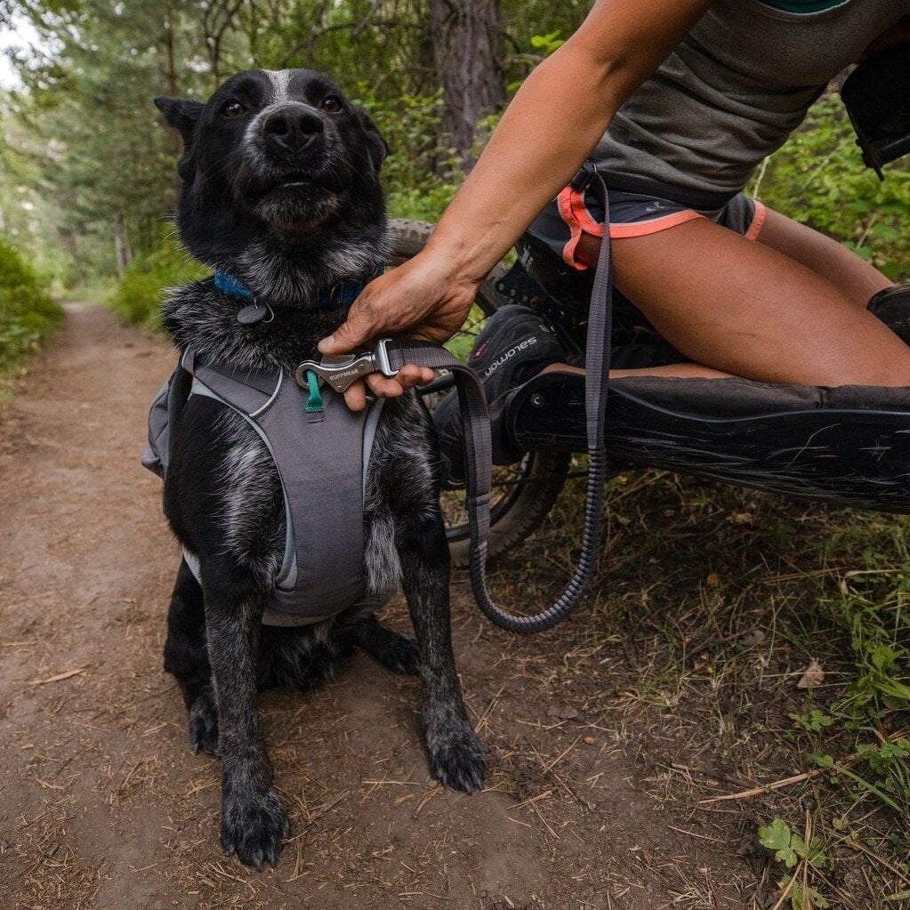Ruffwear Roamer Leash Stretch Dog Walking Lead