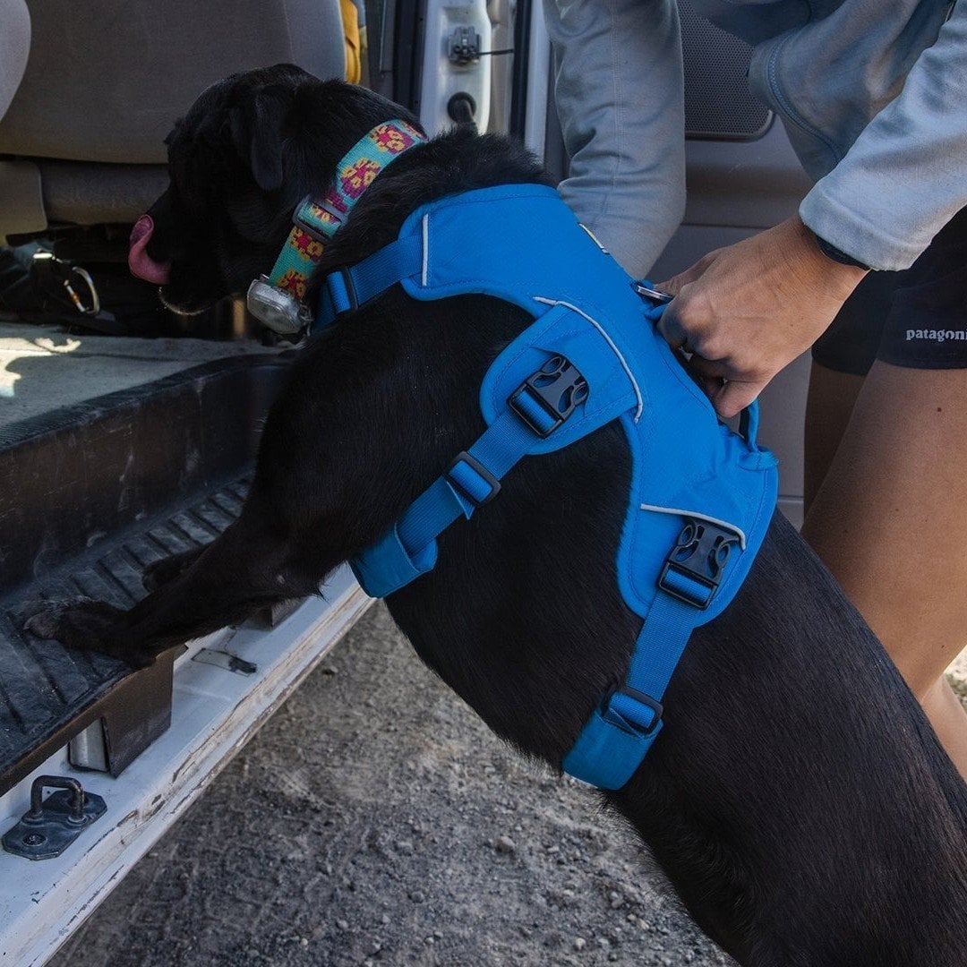 Ruffwear Webmaster Dog Harness with Handle