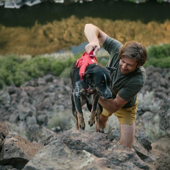 Ruffwear Webmaster Dog Harness with Handle