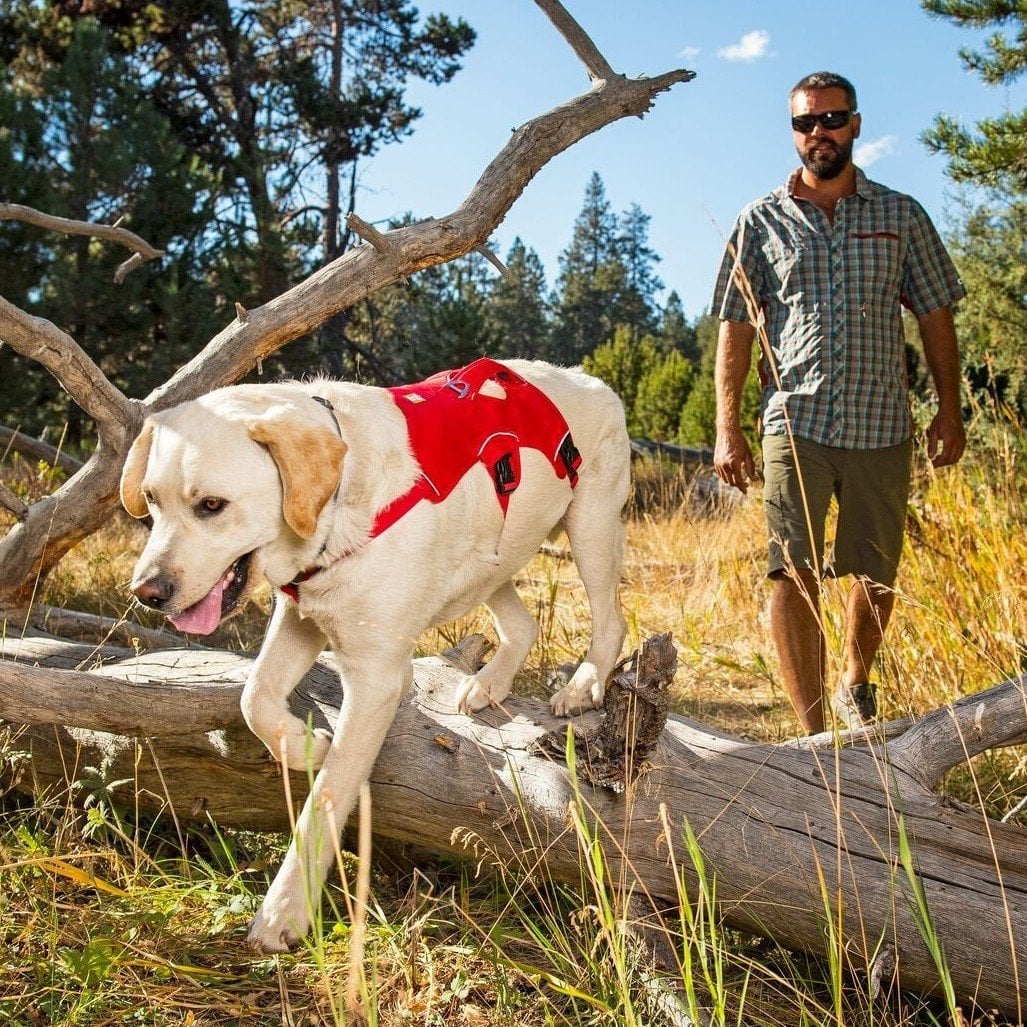 Ruffwear Webmaster Dog Harness with Handle