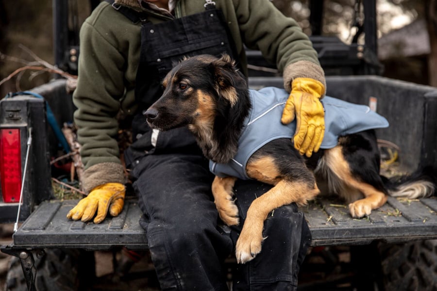 Ruffwear Overcoat Utility Jacket Dog Coat