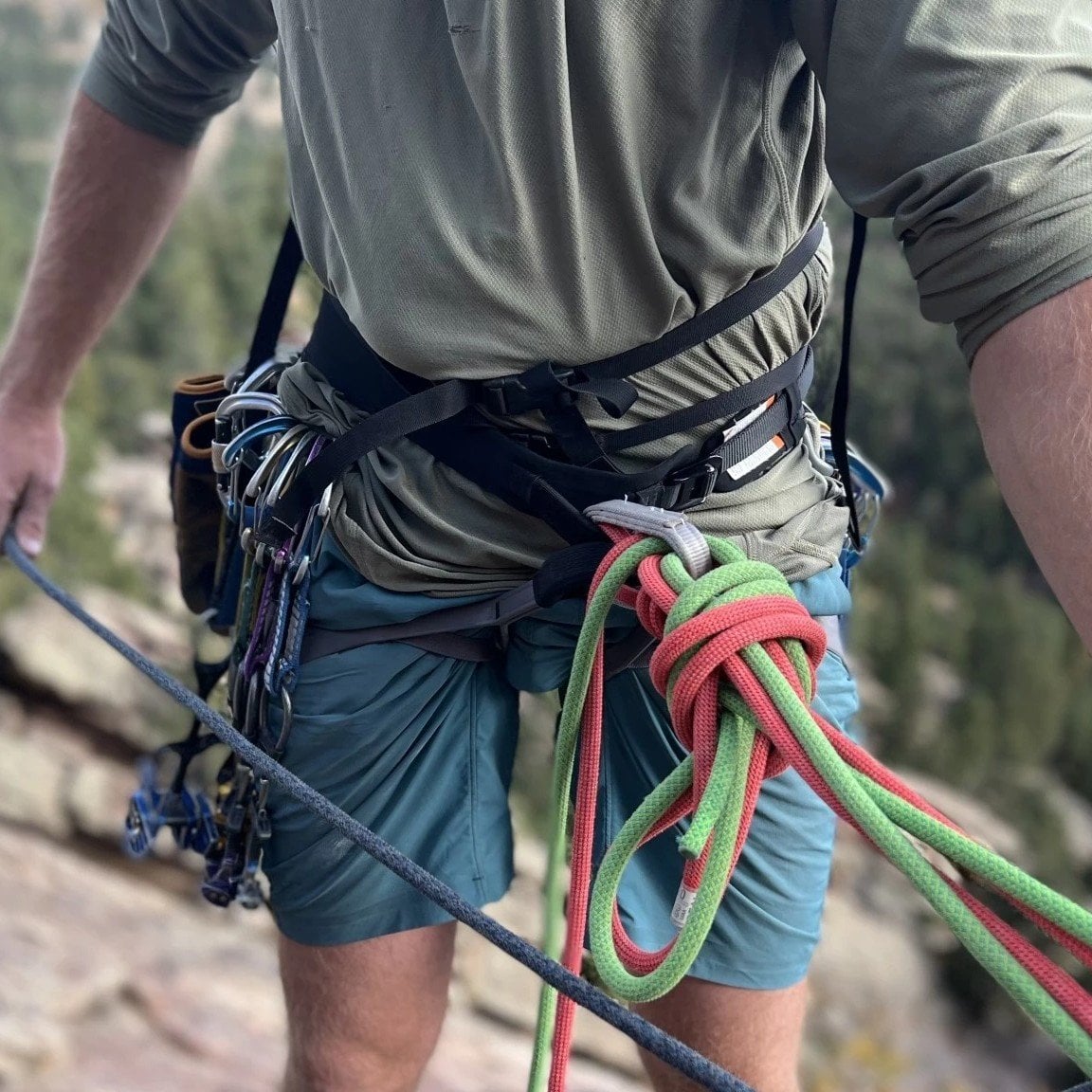 Black Diamond Solution Rock Climbing Harness