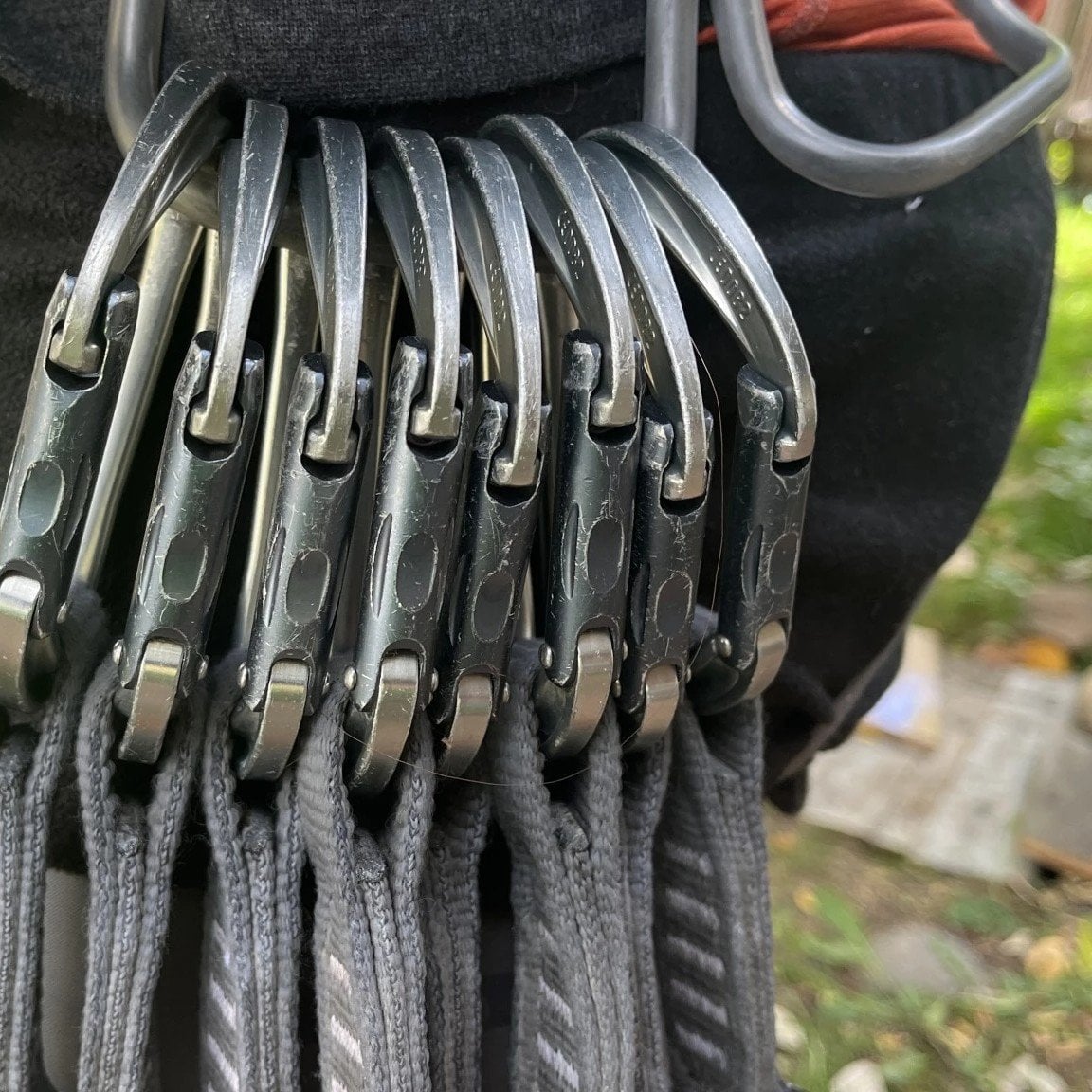 Black Diamond Solution Rock Climbing Harness