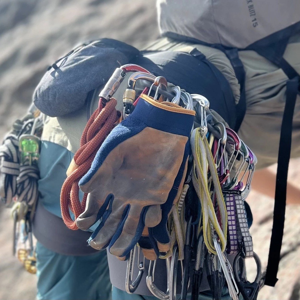 Black Diamond Solution Rock Climbing Harness