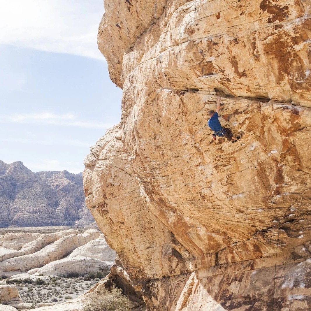 Petzl Sama Men's/Unisex Climbing Harness