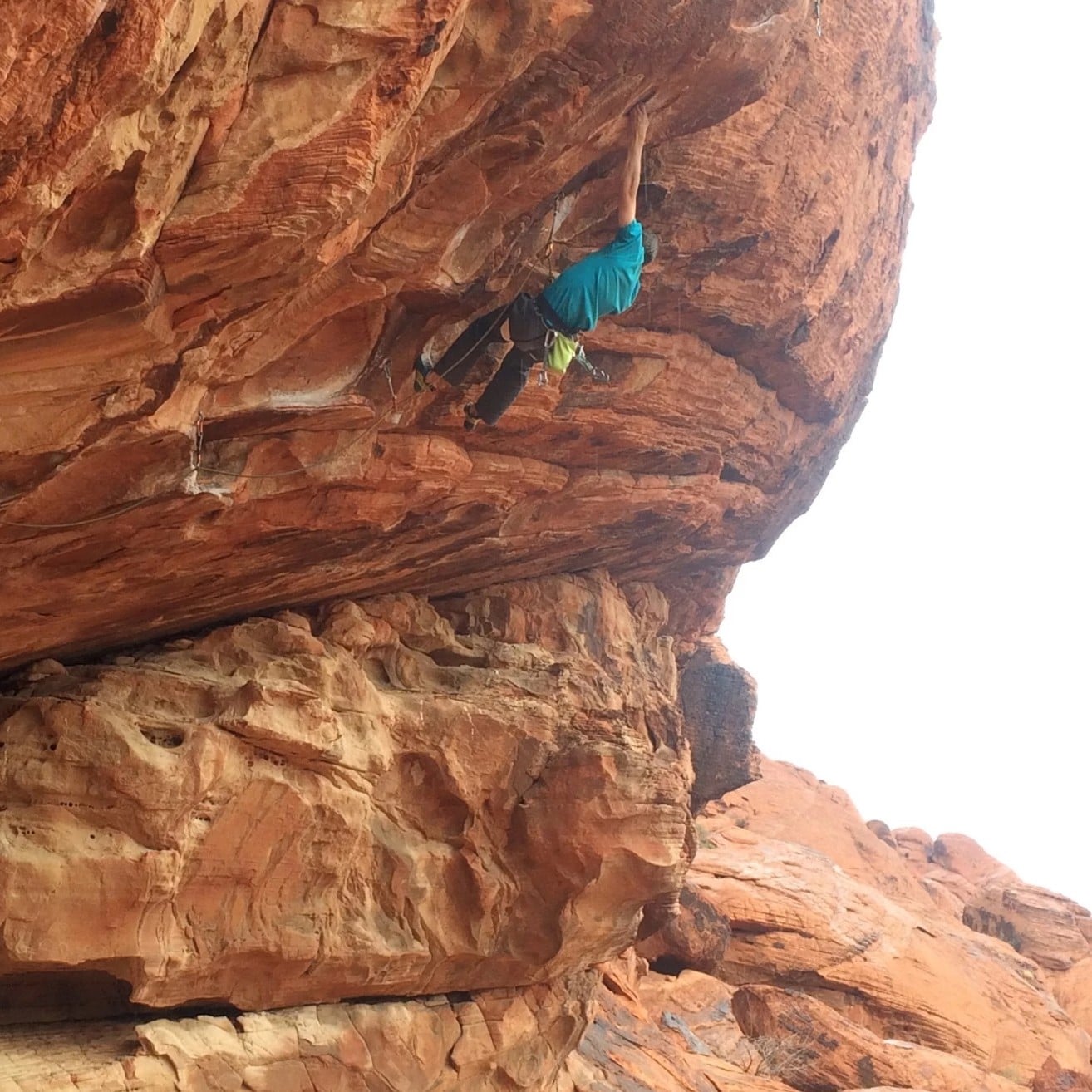 Petzl Sama Men's/Unisex Climbing Harness