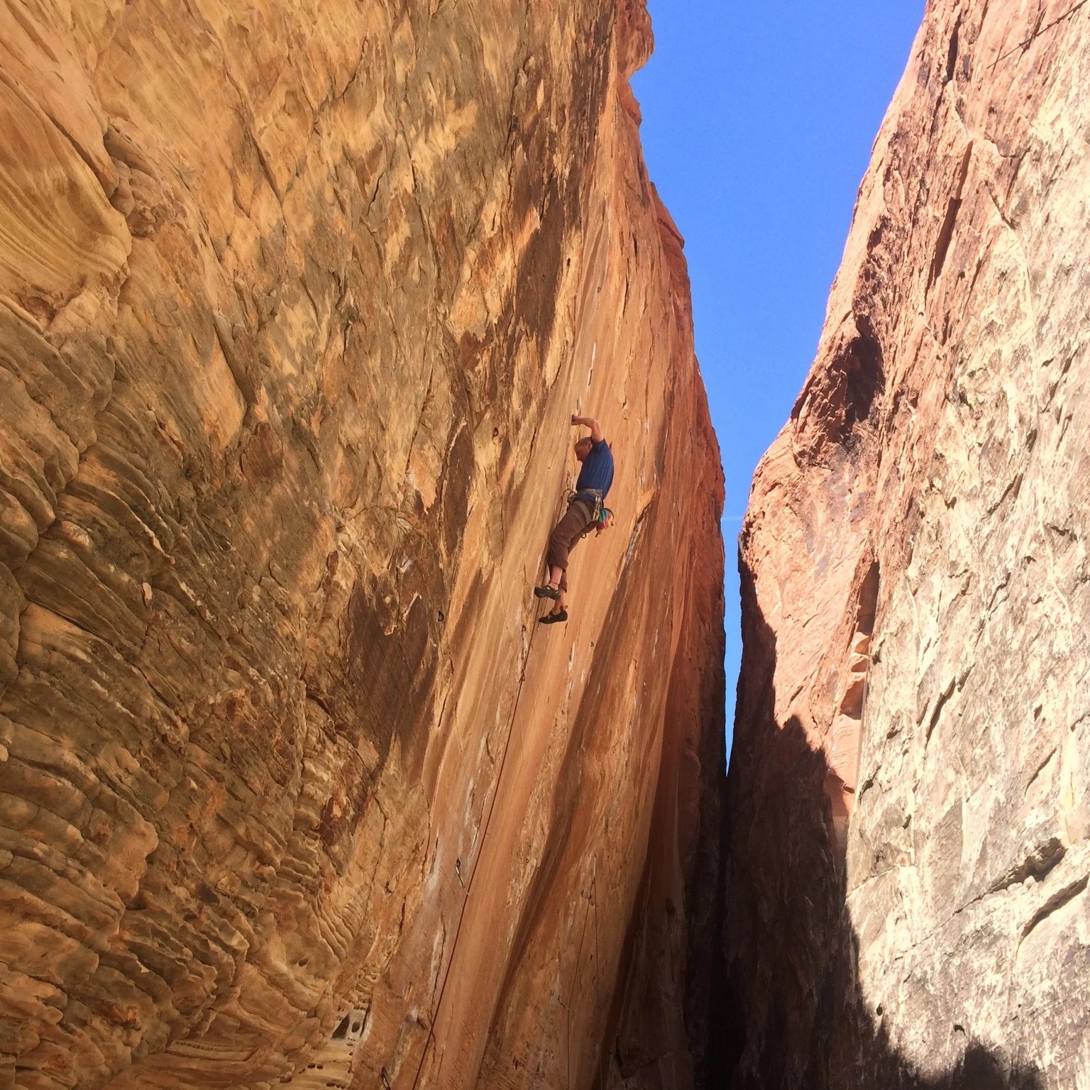 Petzl Sama Men's/Unisex Climbing Harness