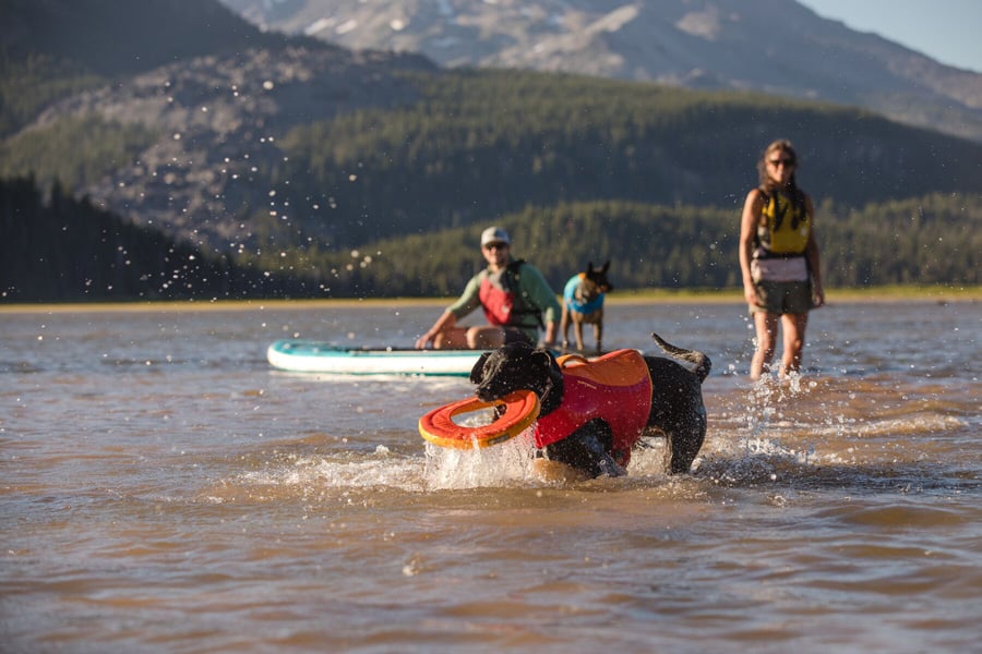 Ruffwear Float Coat Life Jacket Dog Buoyancy Aid