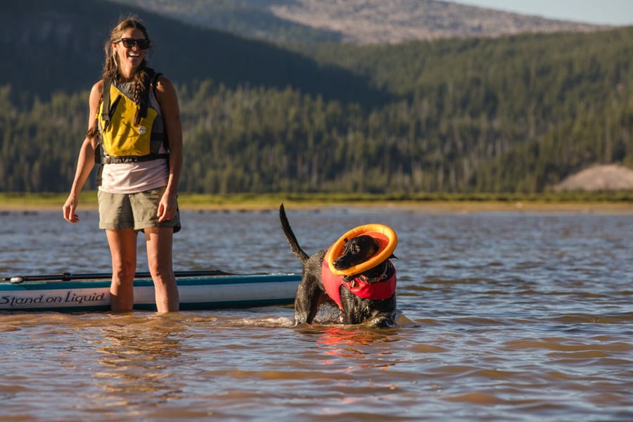 Ruffwear Float Coat Life Jacket Dog Buoyancy Aid