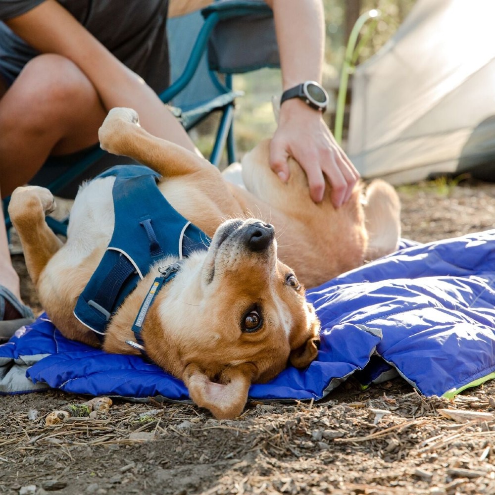 Ruffwear Highlands Sleeping Bag Pet/Dog Insulated Bed