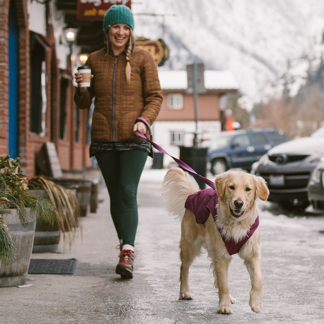 Ruffwear Stumptown Jacket Insulated Dog Coat