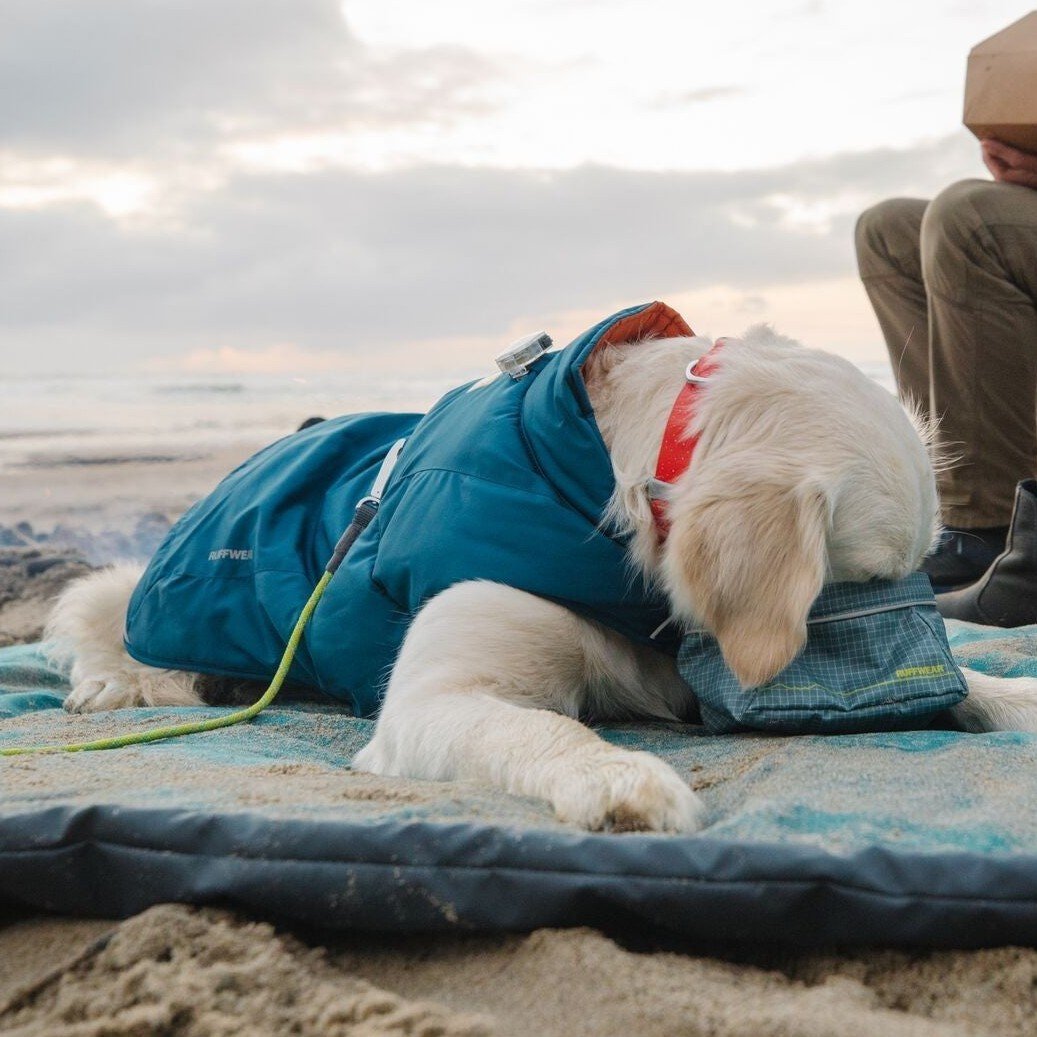 Ruffwear Quinzee Jacket Insulated Dog Coat