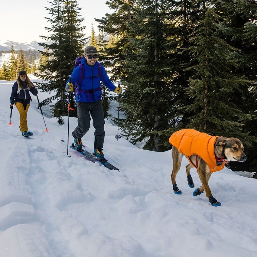 Ruffwear Quinzee Jacket Insulated Dog Coat