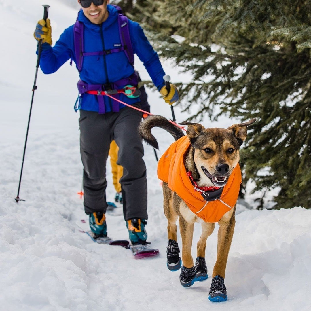 Ruffwear Quinzee Jacket Insulated Dog Coat