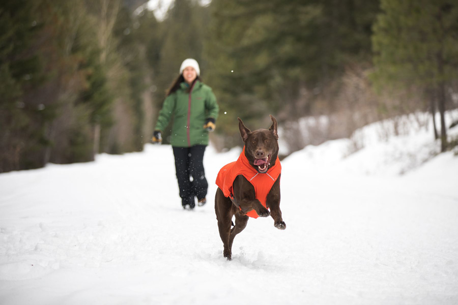 Ruffwear Quinzee Jacket Insulated Dog Coat