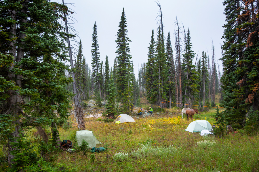 Big Agnes Tiger Wall 3 Platinum Crazylight Backpacking Tent