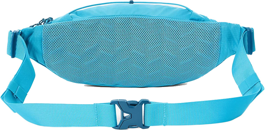 The North Face Lumbnical Waist Pack/Bum Bag