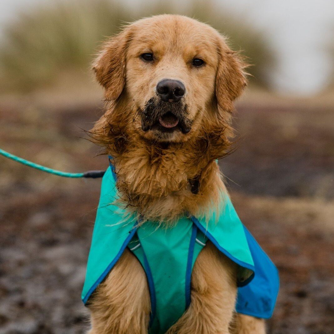 Ruffwear Sun Shower Jacket Waterproof Dog Coat