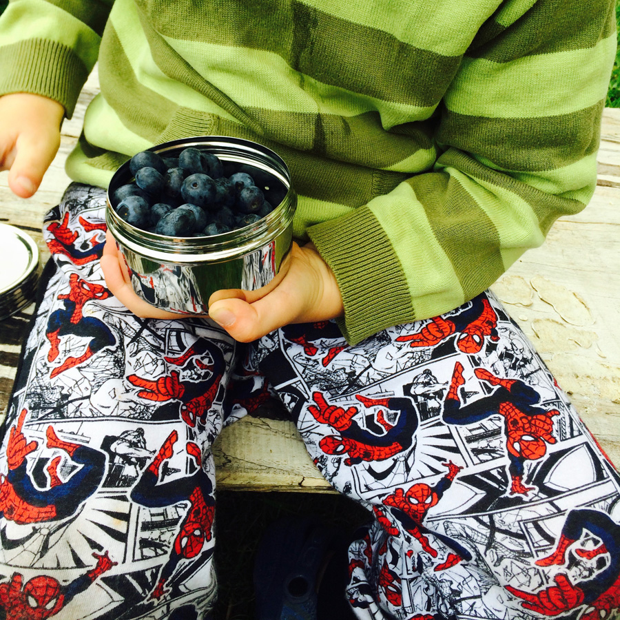 Elephant Box Screw Top Canister Stainless Steel Food Container