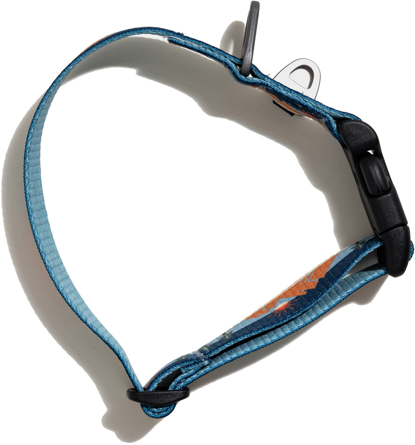 United By Blue Woven Dog Collar Webbing Pet Collar