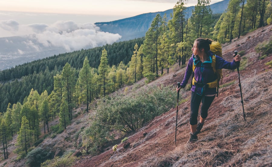 Lowe Alpine Altus ND 30:35 Hiking & Trekking Backpack