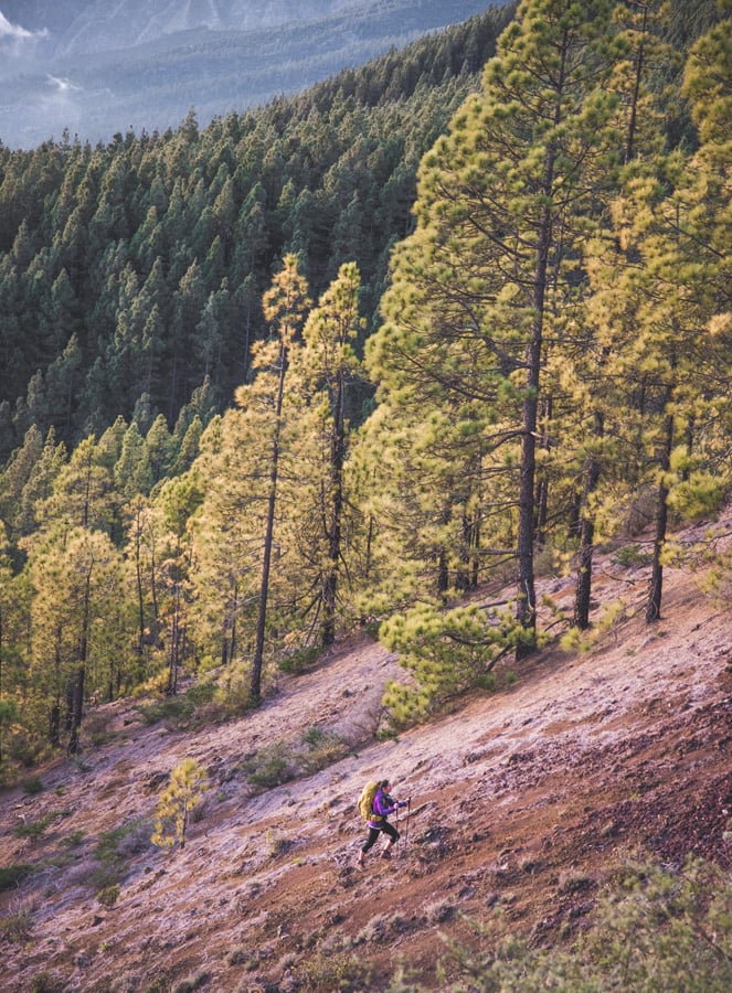 Lowe Alpine Altus ND 30:35 Hiking & Trekking Backpack