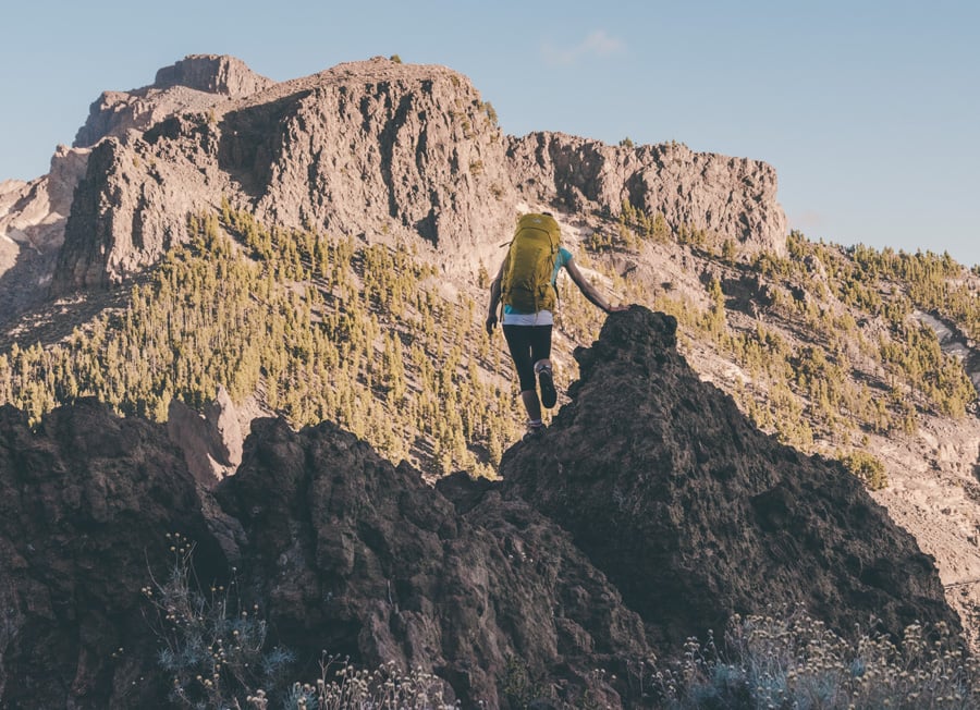 Lowe Alpine Altus ND 30:35 Hiking & Trekking Backpack