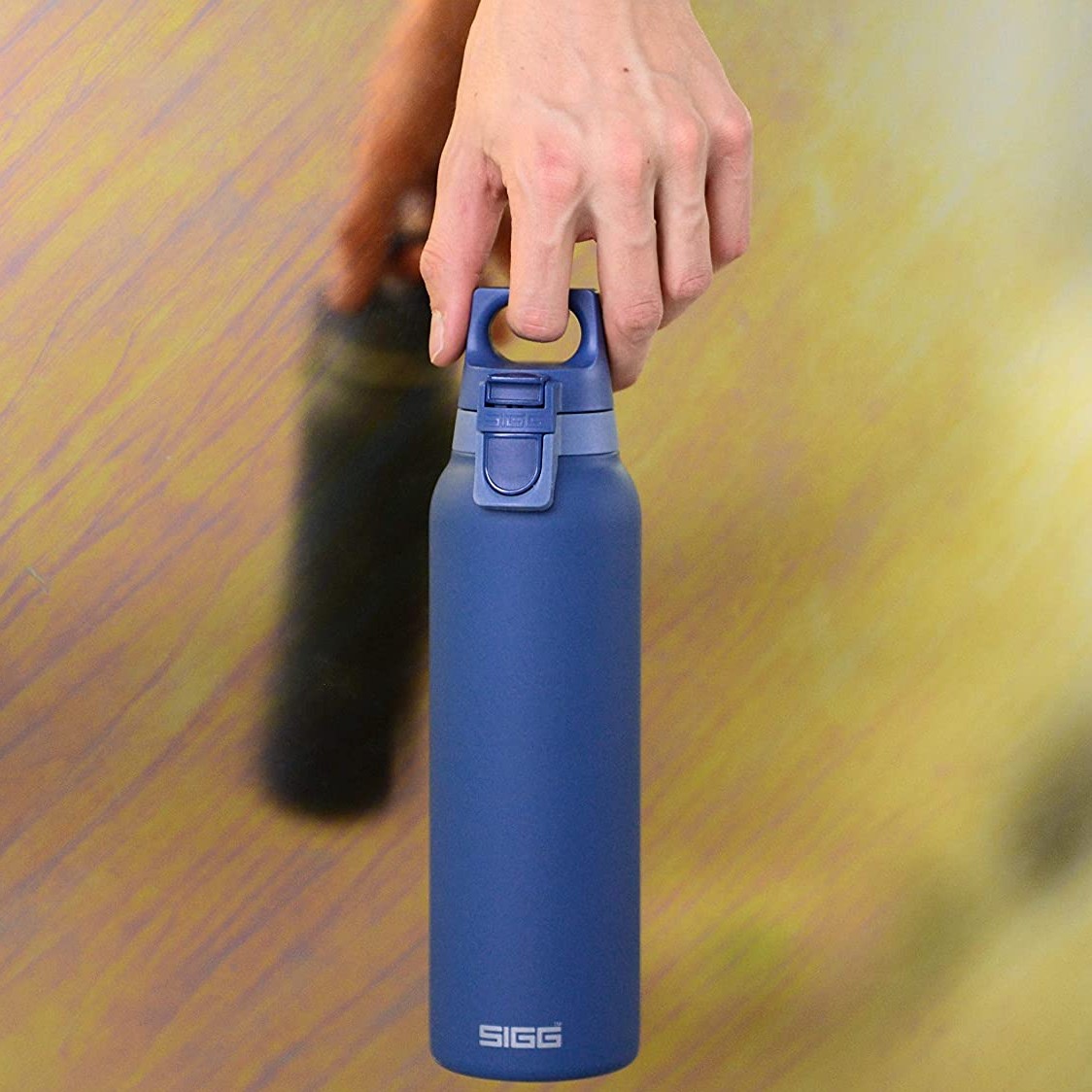 Sigg Hot & Cold One Vacuum Insulated Thermo Flask