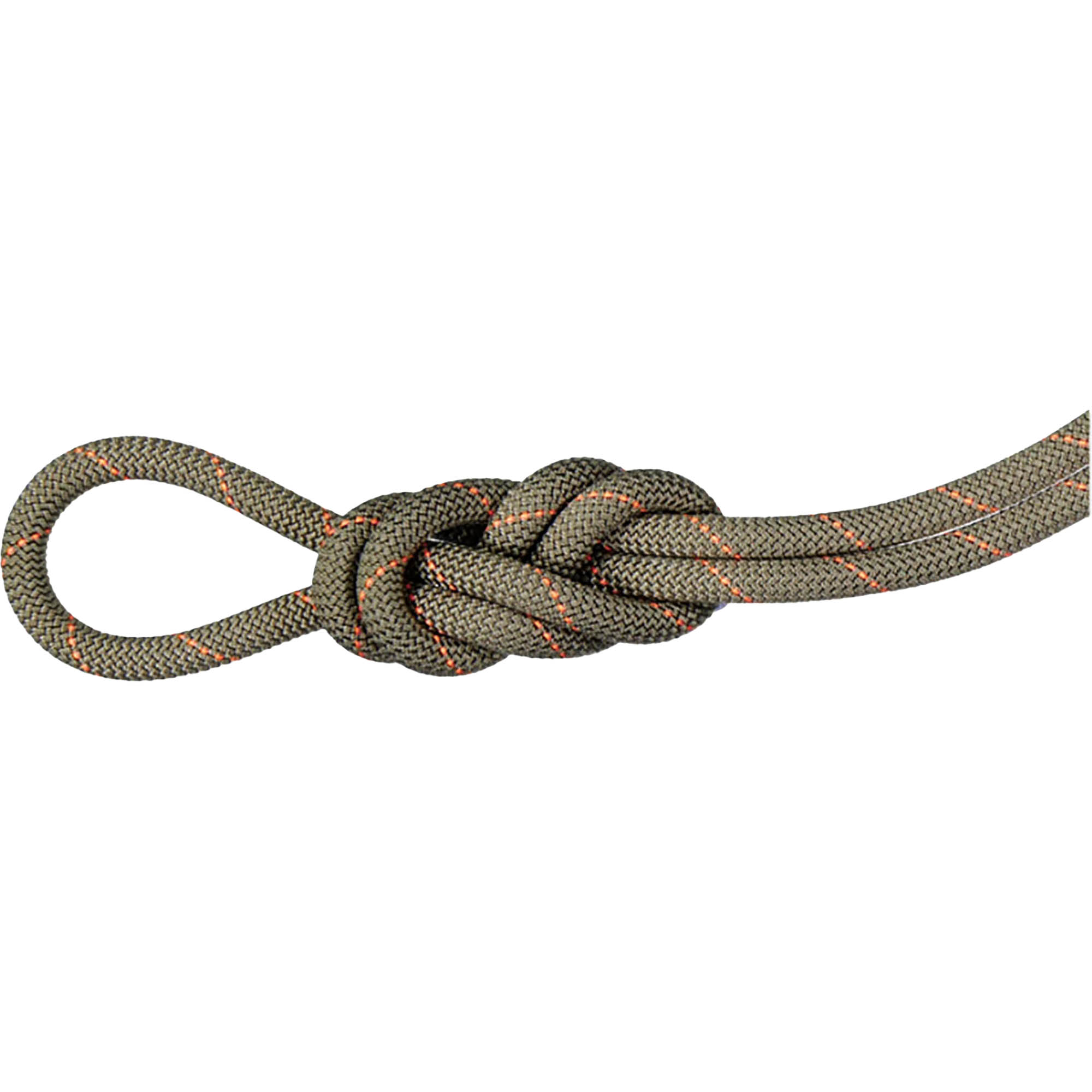 Mammut 9.9 Gym Workhorse Classic Rock Climbing Rope