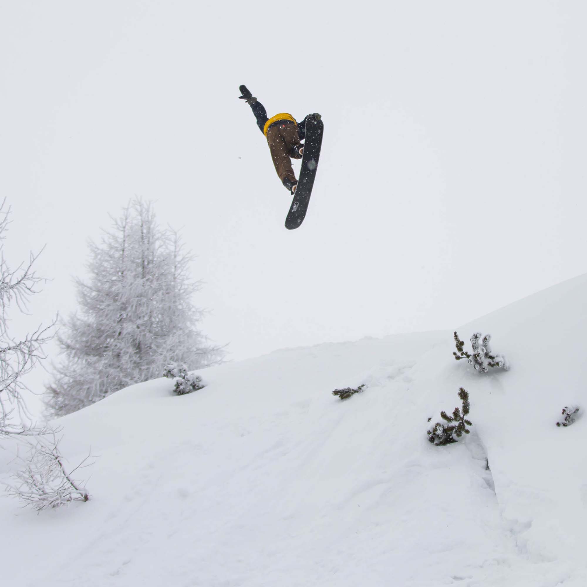 Bataleon Party Wave + Snowboards 2024 | Absolute-Snow