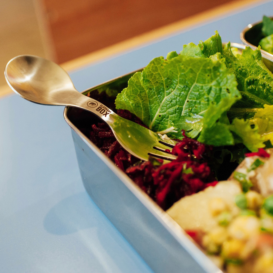 Elephant Box Stainless Steel Spork Compact Reusable Travel Utensil