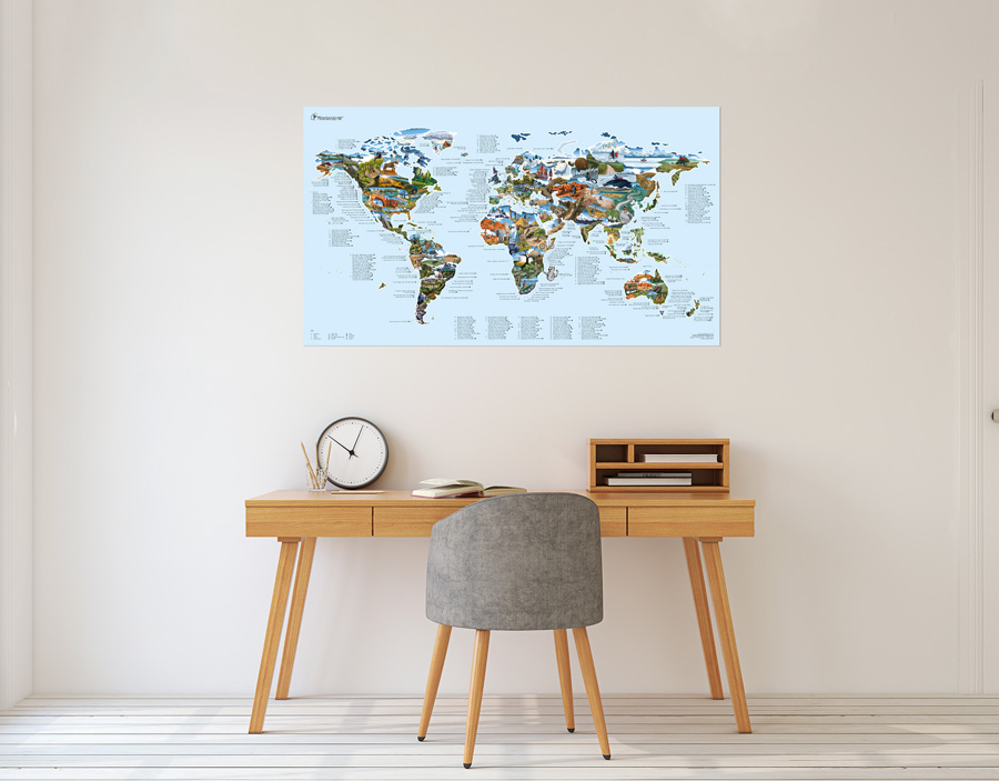 Awesome Maps Mountain Bike Map Cycle Trails World Wall Map