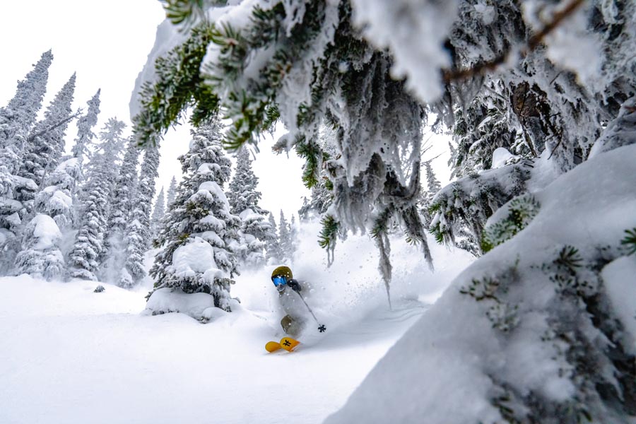 Faction Prodigy 4 Skis 2023