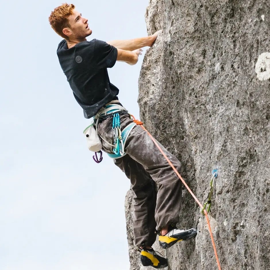 Edelrid Prisma Sport Climbing Harness