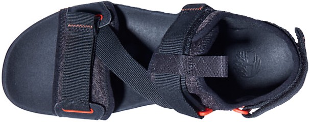 Timberland Ripcord 2-Strap Men's Sandal