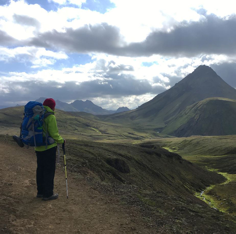 Helinox Passport FL120 Adjustable Trekking Poles